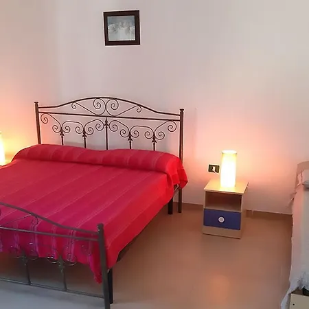 Oasi