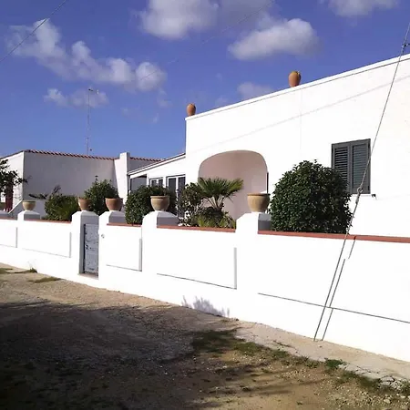 Oasi